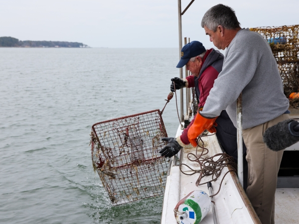 Two men pull up a derelict crab trap on the side of a boat.