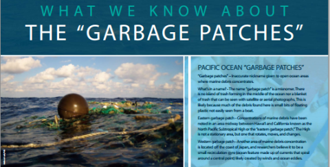 Part of a Garbage Patches poster.