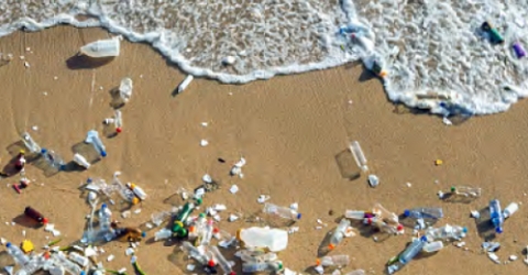Water and Climate Stewards of San Diego Bay Marine debris littering a beach at the surf line.