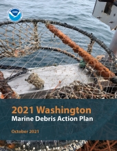 Washington Action Plan cover.