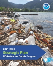Cover of the 2021-2025 Strategic Plan.
