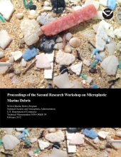 Report Cover