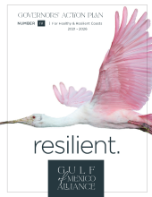 Cover of the Gulf of Mexico Governor's Action Plan IV