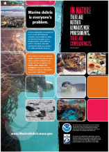 Impacts to Hawaiian Islands: Poster