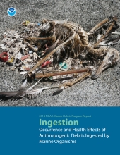 Marine debris ingestion report. 