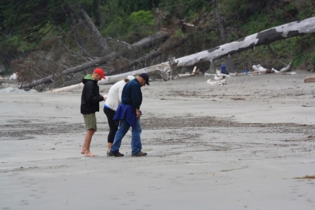 Three people scanning a beach.