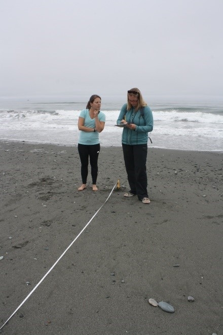 Two people recording data on a data sheet on a beach.