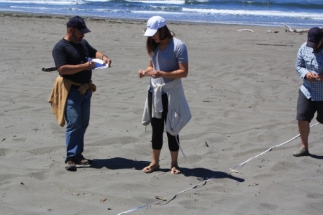 People scanning a beach and recording data on a data sheet on a beach.