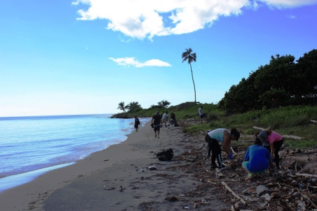 Volunteers removing debris at Ballenas Beach, PR