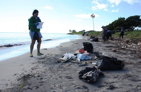 Volunteers sorting,counting, and removing debris at Ballenas Beach, PR