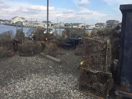  A pile of derelict crab pots on the shore.