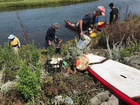Volunteers clean up debris on the shore of the Pajaro River.