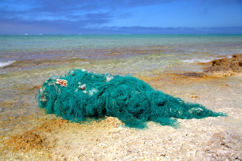 Broken Coral in a Derelict Fishing Net.