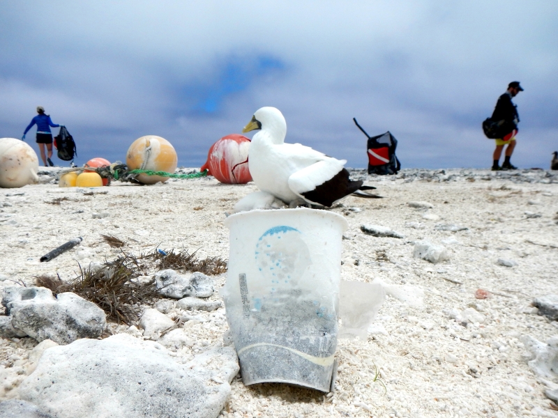 A coffee cup found on the remote Northwestern Hawaiian Islands. (Photo Credit: NOAA)