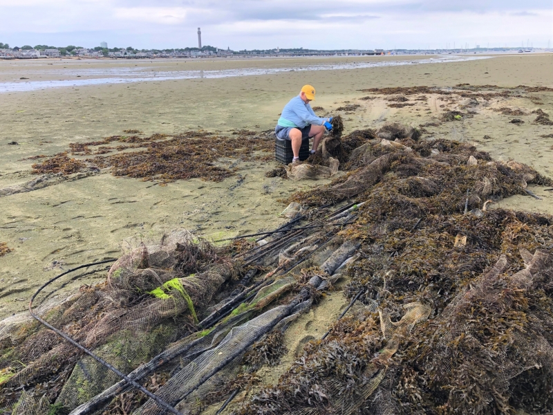 A person bends down on a beach to view derelict aquacuture gear that has been left on a beach.