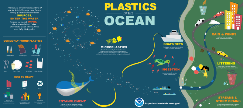Inforgraphic on plastics in the ocean, where they come from, and their impacts.