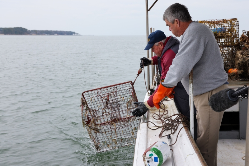 Crabbers pull a lost crab trap from the York River in Virginia (Photo Credit: William and Mary’s Batten School and the Virginia Institute of Marine Science). Two men pull up a derelict crab trap on the side of a boat.