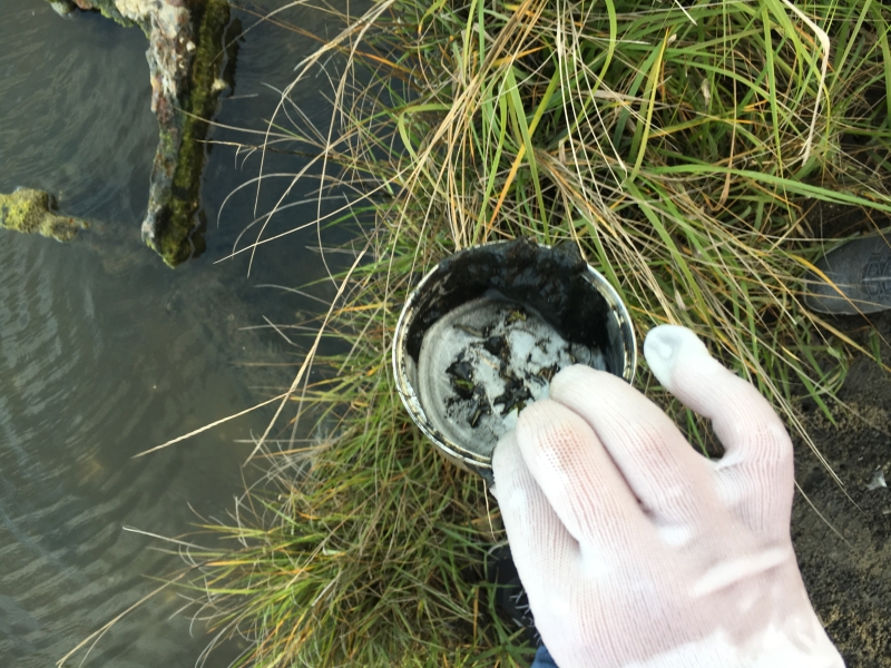 A hand holding a metal can.