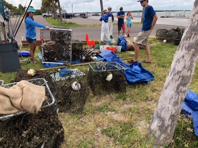 Tagged traps on the shore. 