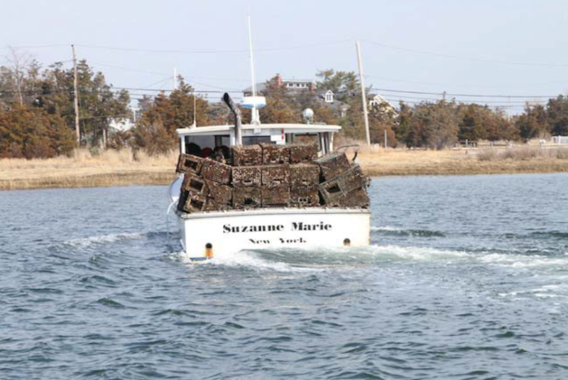 A boat hauling collected derelict/abandoned gear back to shore.