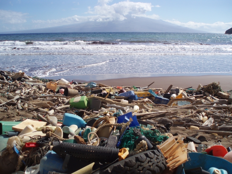 Marine Debris in Hawaii