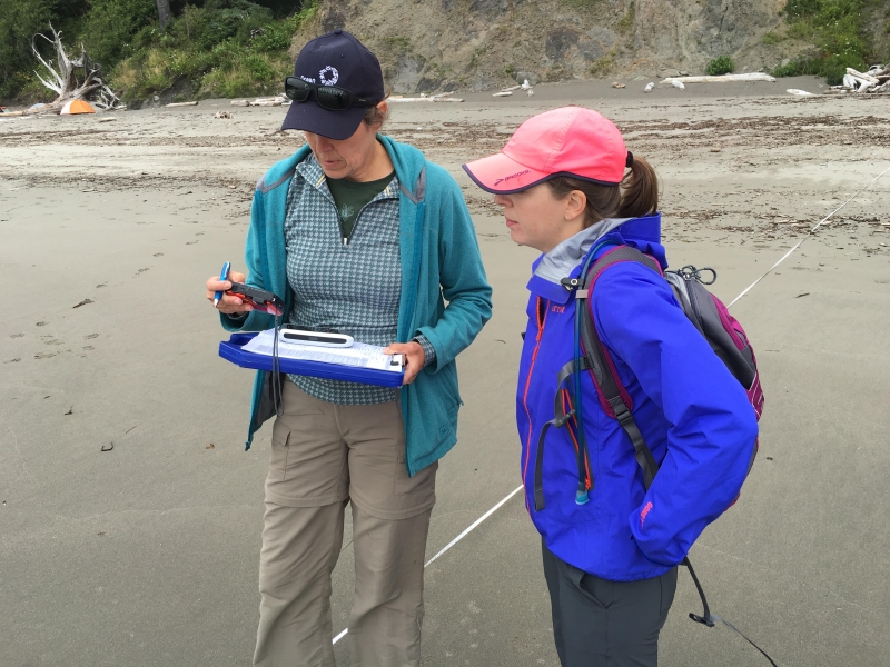 Two people looking at a clipboard and GPS tracker on a beach.