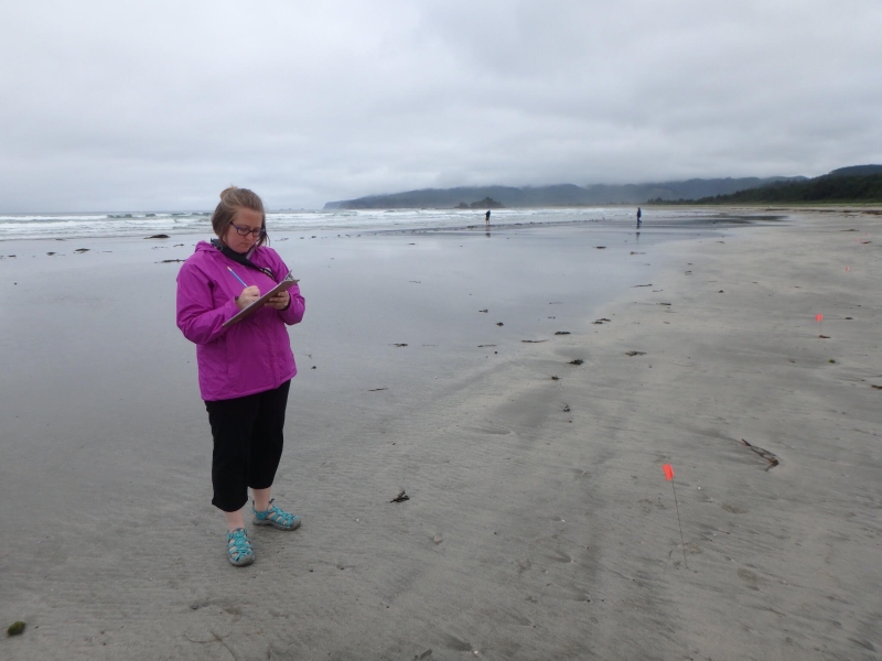 NOAA MDP's Research Coordinator counting debris on a beach.
