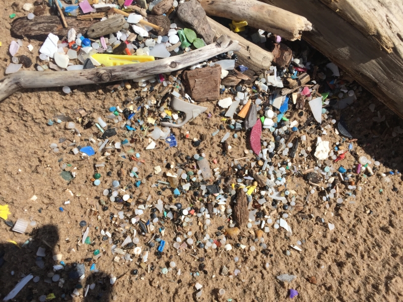 Microplastics found on a Lake Ontario beach.