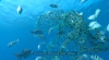 Growing & Strengthening a Culture of Recycling to Reduce Marine Debris in Saipan-Chamorro